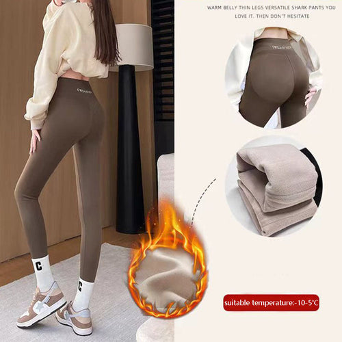 Fleece Thickened Leggings Winter -20 To 5 Shark Pants For Women High